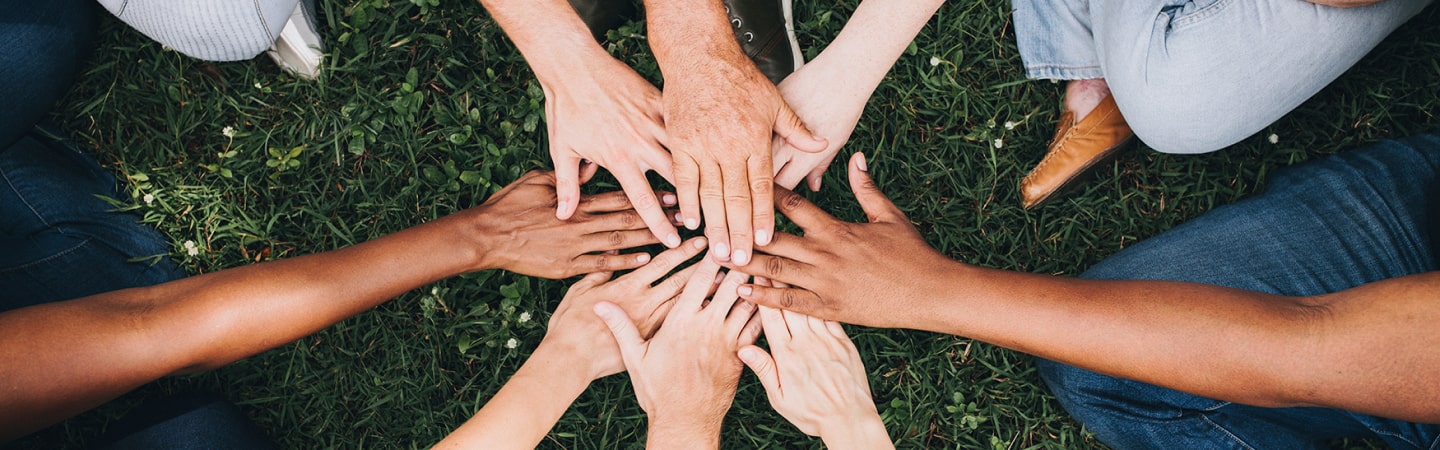 Call for volunteers to test the Monitoring Framework surveys