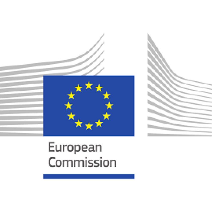 Commission Representation in Lithuania