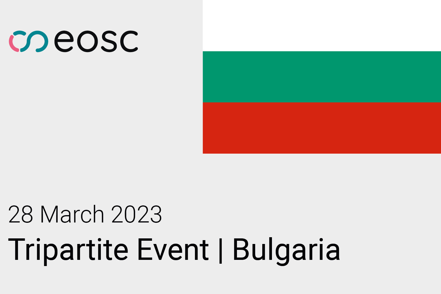 NTE Bulgaria