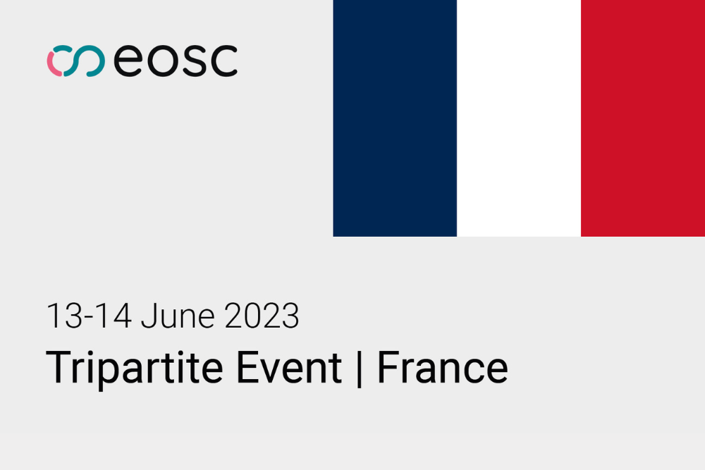 NTE France